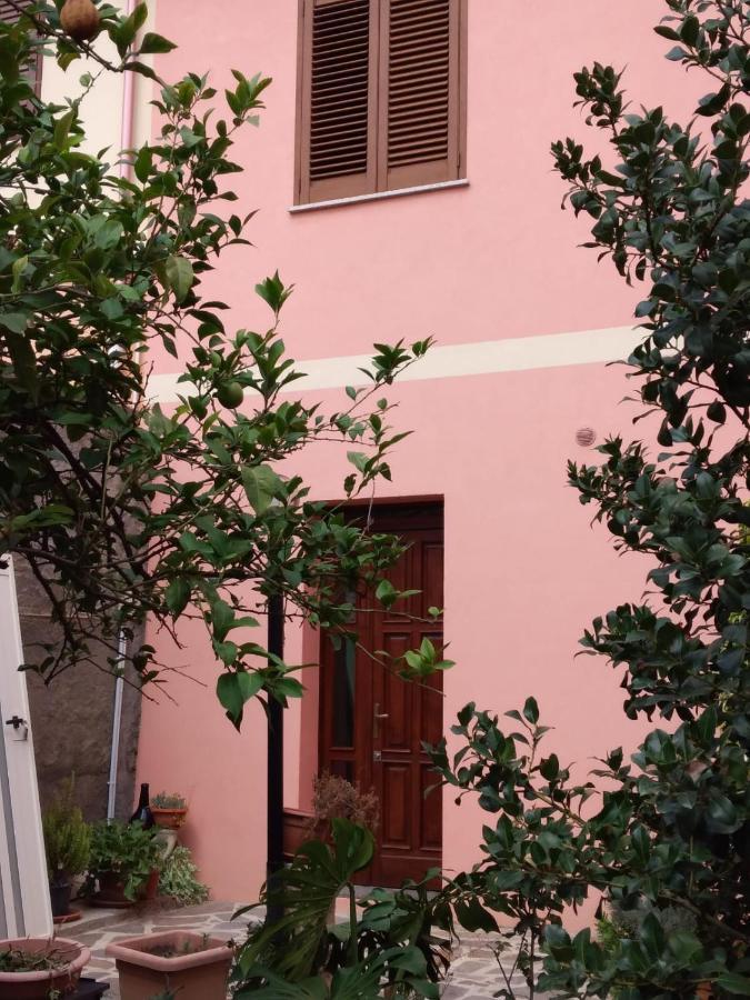 L'Agrifoglio Di Emy Bed and Breakfast Guspini Εξωτερικό φωτογραφία