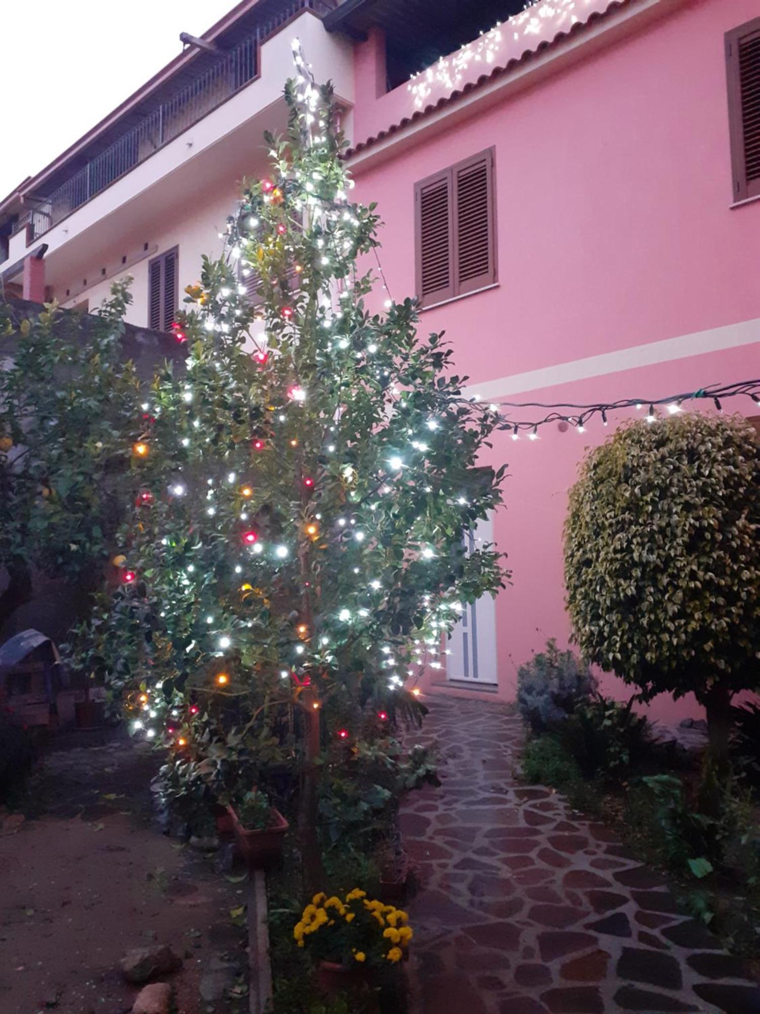 L'Agrifoglio Di Emy Bed and Breakfast Guspini Εξωτερικό φωτογραφία